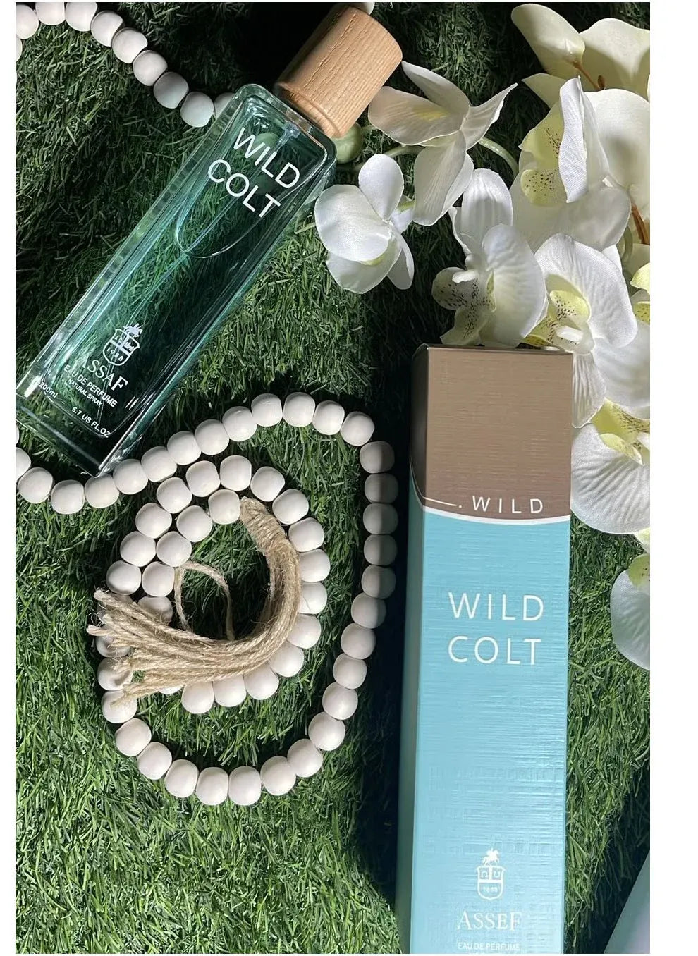 Asaff  Wild Colt + Gris Erik | أساف وايلد كولت + جريس إريك